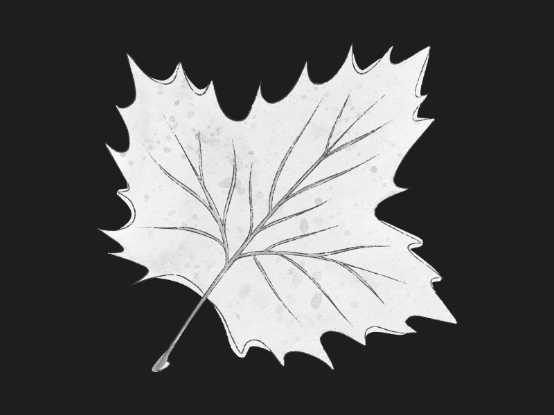 Canadian Tech Summit Ticket